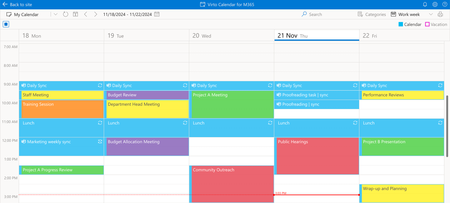 Pic. 14. Sample color-coded Virto Calendar view.